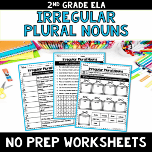 Irregular Plural Nouns NO PREP Worksheets