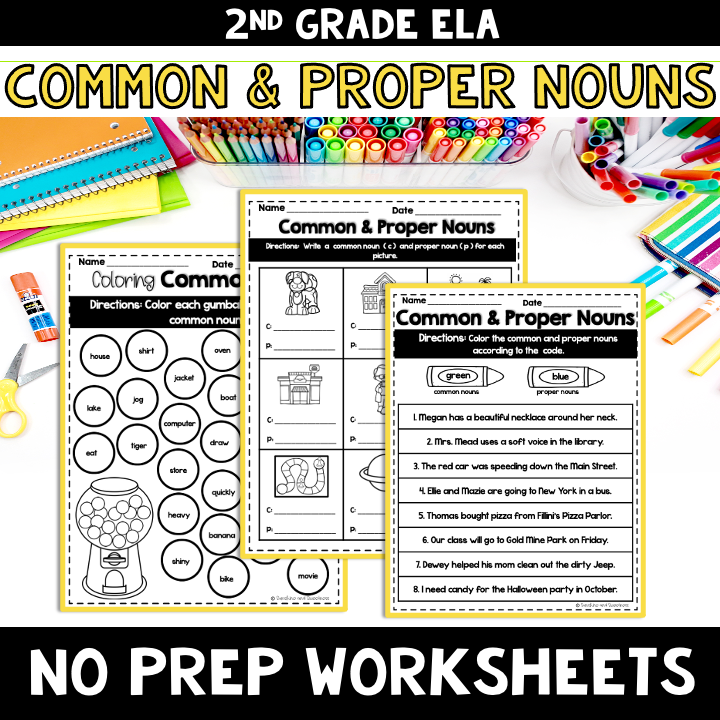 Common and Proper Nouns NO PREP Worksheets 2nd grade
